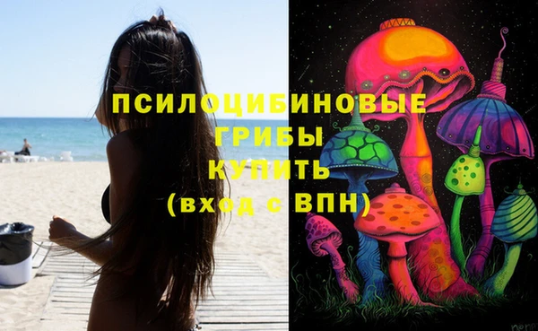 гидра Нягань