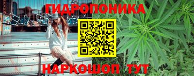 СК Будённовск