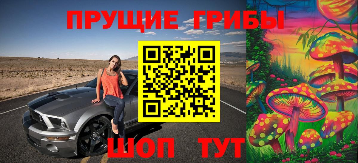 Камень-на-Оби  Псилоцибиновые грибы GOLDEN TEACHER  Вход с VPN  Галлюциногенные грибы MAGIC MUSHROOMS 
