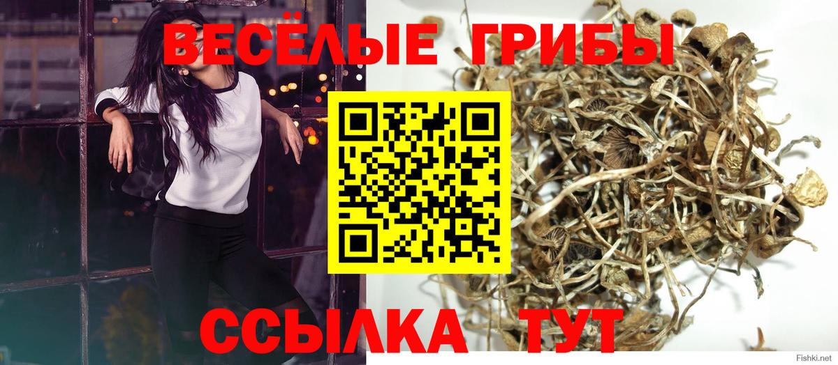 Галлюциногенные грибы прущие грибы Камень-на-Оби