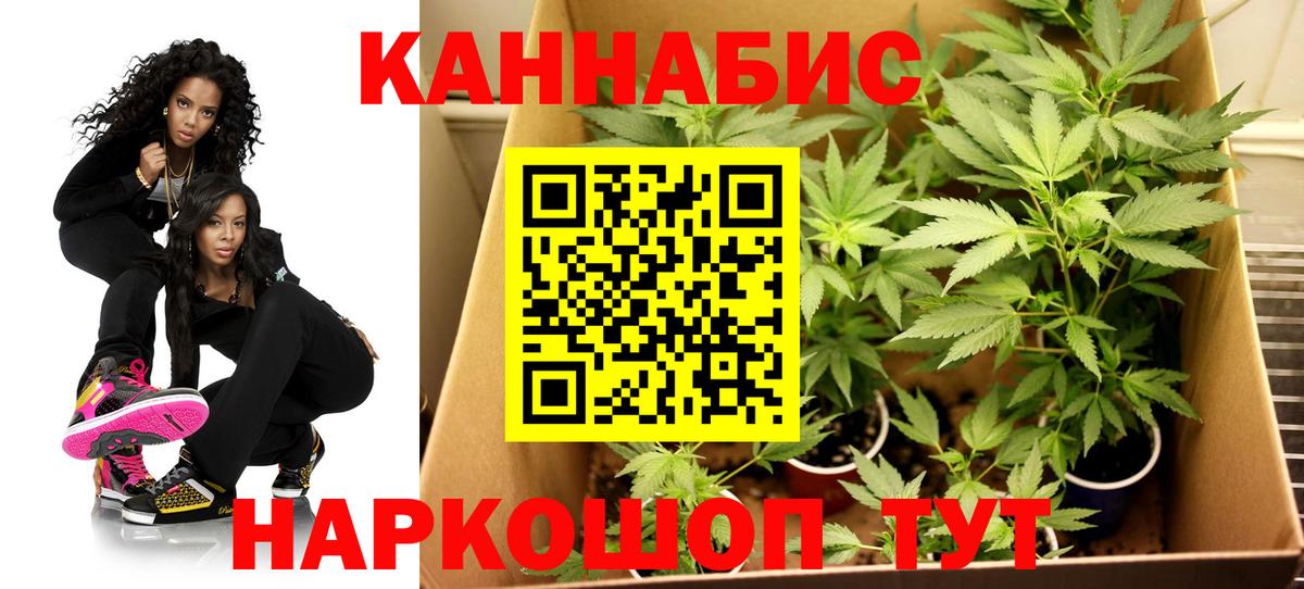 Конопля Amnesia  Вход с VPN  Бошки марихуана ГИДРОПОН  Канабис планчик  Бошки Шишки Bruce Banner  Камень-на-Оби 